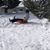Stacey Rahr's profile image