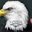 Fauri Cook's profile image