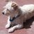 Millie Williams's profile image