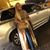 Tiffani Jackson's profile image
