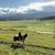 Glenda Johnstone's profile image