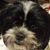 Sandy Stevens's profile image