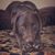 Amy Bishop Brockel's profile image