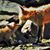 Marge Van Tassel's profile image