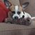Ann Siltman's profile image