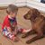 Shelle Aberle's profile image