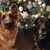 KarlandSandra Huff Nielson's profile image