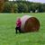 Judi Knier's profile image