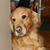 Julie Marie's profile image