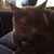 Teressa Hansford's profile image