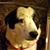 Kathie SI Williams's profile image
