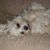 Esther Emerson's profile image