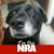 Alan Ray Bacon's profile image