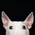 Austin Taber's profile image