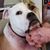 Donna Cooper's profile image