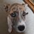 Vicki Corkhill's profile image