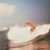 Laurie Grodi's profile image