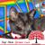 Kathleen Ludlow's profile image