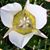 Diana Scherber's profile image