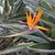 Ellen Lois Trice Dixon's profile image