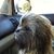 Daisee Mae Choe's profile image