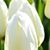 Sue Slagle's profile image