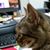 Mona Foust's profile image
