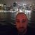 Salvatore Buzzetta's profile image