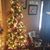 Sandy Thomas's profile image