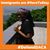 Angela Montalba's profile image