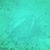 Sharon Bonshire's profile image