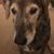 Tamra Rowcliffe's profile image