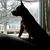 Margaret Nicastro's profile image