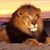 Mark Thompson's profile image