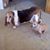Deanna McCracken's profile image