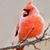Jackie Blanchard's profile image