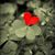Erin Regney Young's profile image