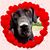 Art Scott's profile image