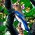Wibisono Bambang's profile image