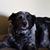 Sherry Moring Munson's profile image