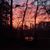 Melissa Pilgreen Young's profile image