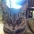 Russell Kron's profile image