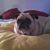 Debra Romero's profile image