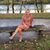 Penny Odum Herrell's profile image