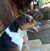 Edie Golden's profile image