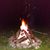 Ashlee Hersch's profile image