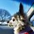 Sam Cicero Jim Yost's profile image