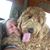 Amanda Schultz's profile image