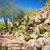 Judy Dechter's profile image