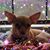 Ashley Oradesky's profile image